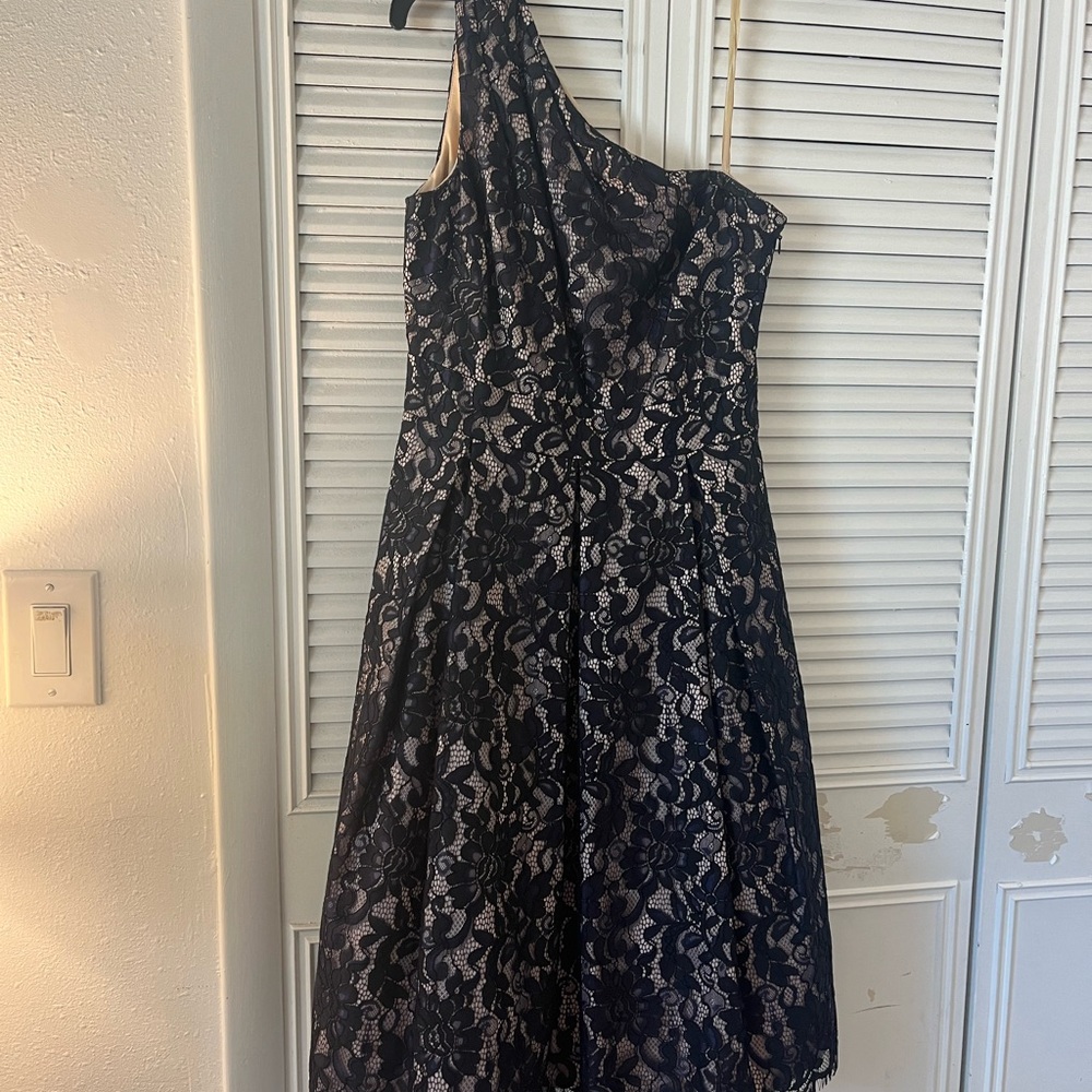 Eliza J Black Lace and Cream Dress